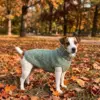 Sage Green Hand-Knitted Dog Jumper